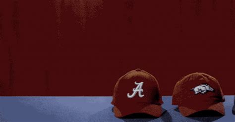 sec gif